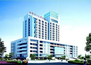 岳陽(yáng)美盛物業(yè)管理圖冊(cè)