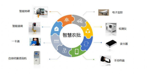 杭州桐廬農副產品批發市場 精細化管理賦能市場繁榮與食品安全