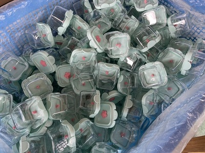 寧波佰仕匯 探索日用百貨銷售新路徑，打造便捷生活新體驗(yàn)